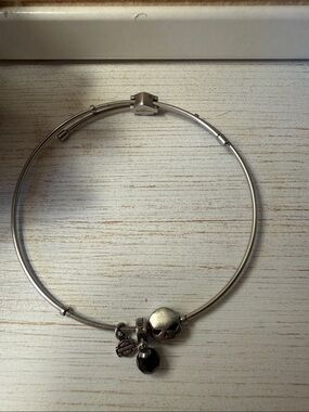 💀 Harley-Davidson Cable Willie G Skull Charm Bracelet